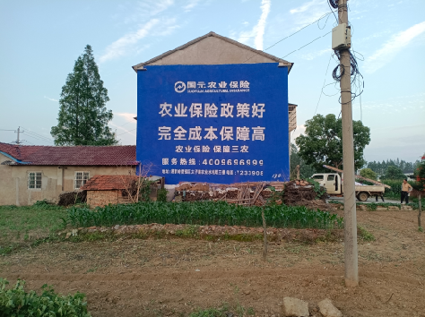 宁波墙体广告为何受追捧？