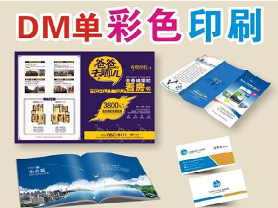 宁波单页印刷，色彩搭配简单。